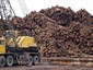 Logs imported to Vietnam from Sabah