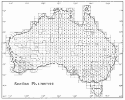 Isoflor map of Acacia section Plurinerves in Australia