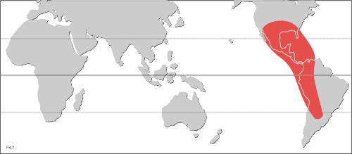 Map of the distribution of section Filicinae