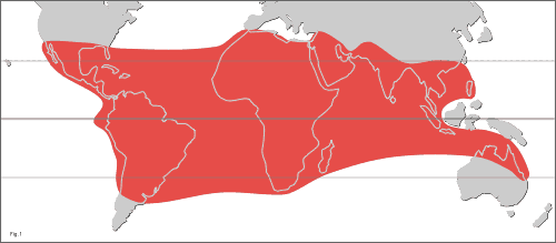 Map of the distribution of subgenus Acacia