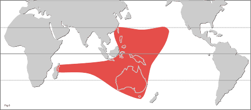 Map of the distribution of subgenus Phyllodineae