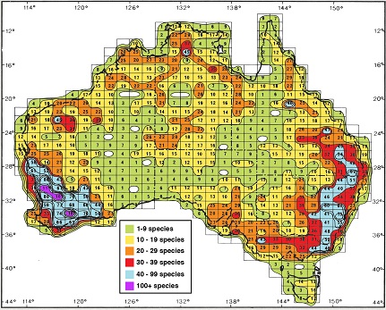 Isoflor map of the genus Acacia in Australia